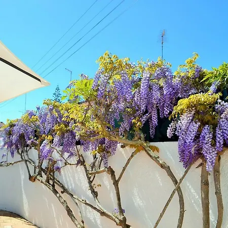 Casa Da Praia Luz Bay Club